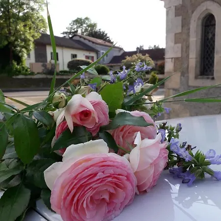 Chez Maguy Semi-rural Vallee De L Isle Dordogne Perigord Ferienhaus