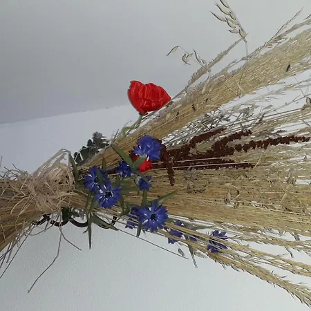 Chez Maguy Semi-rural Vallee De L Isle Dordogne Perigord