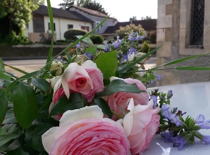 Chez Maguy Semi-rural Vallee De L Isle Dordogne Perigord Ferienhaus